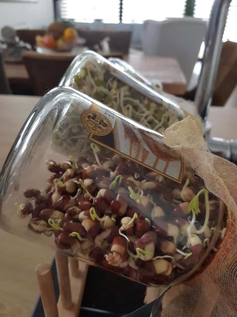 Antonia Macingova - Klickovanie