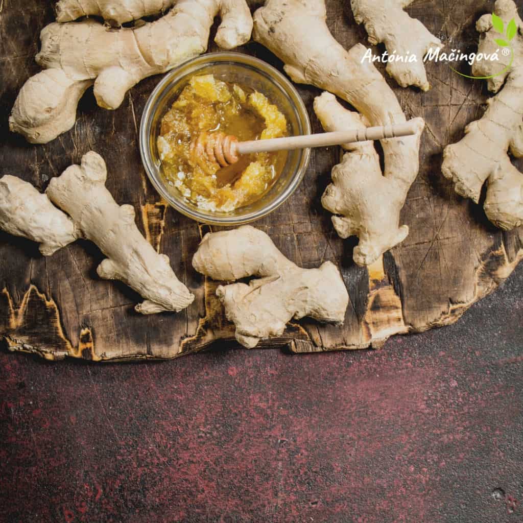 Antónia Mačingová - Zázvor - elixír života