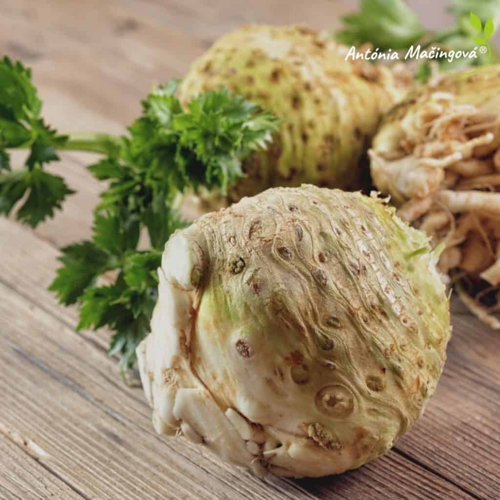 Antónia Mačingová - zeler